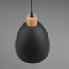 Lámpara colgante JAGGER estera negra - Imagen 6