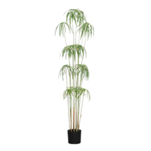 ÁRBOL GRAPTOPETALUM artificial 160 centímetros de alto