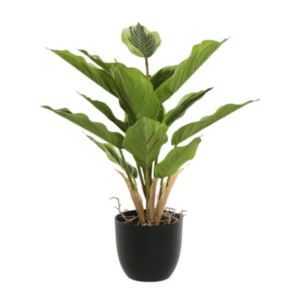 Planta artificial HOJAS 36cm
