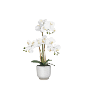 Flor artificial ORQUIDEA blanca 60cm