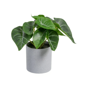 Planta SINGONIO verde artificial 18cm