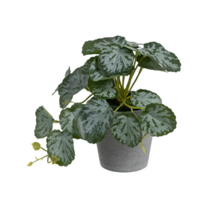 Planta SAXIFRAGA artificial 26cm